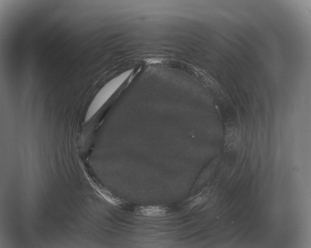 X0000082740383200702161939