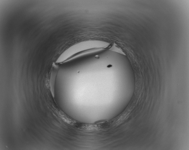 X0000082740384200702161939