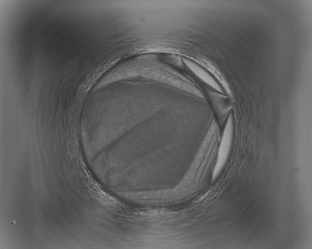 X0000082740385200702161938