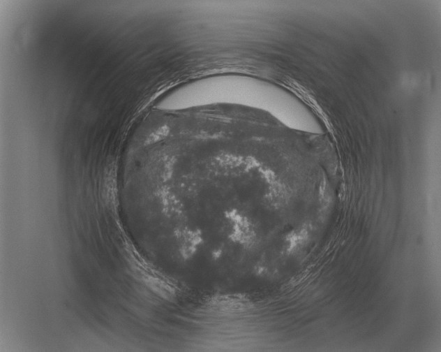 X0000082740386200702161938