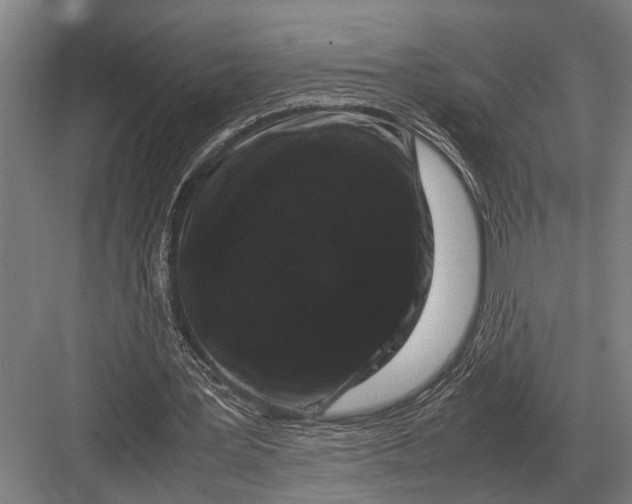 X0000082740387200702161938