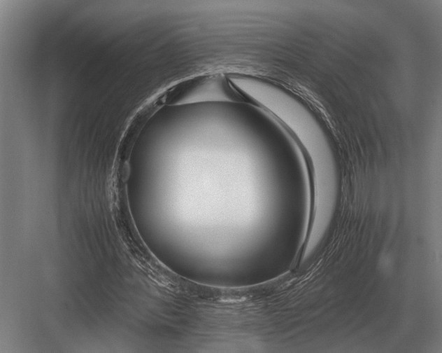 X0000082740388200702161938