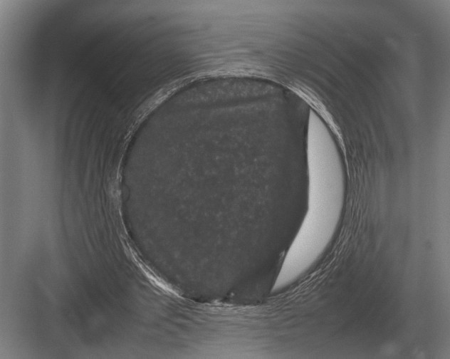 X0000082740389200702161938