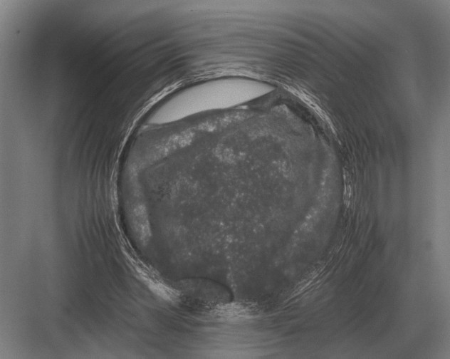 X0000082740390200702161938