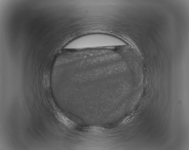 X0000082740393200702161938