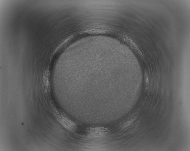 X0000082740396200702161938