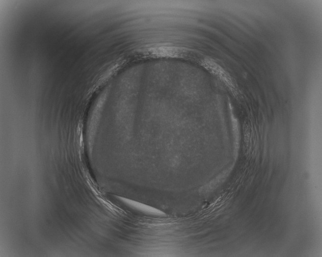 X0000082740398200702161938