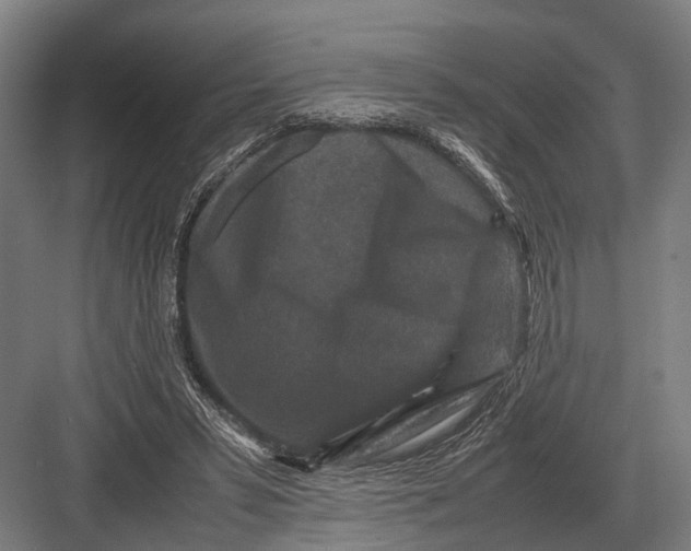 X0000082740399200702161938