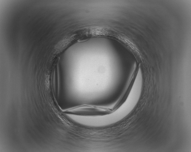 X0000082740401200702161938