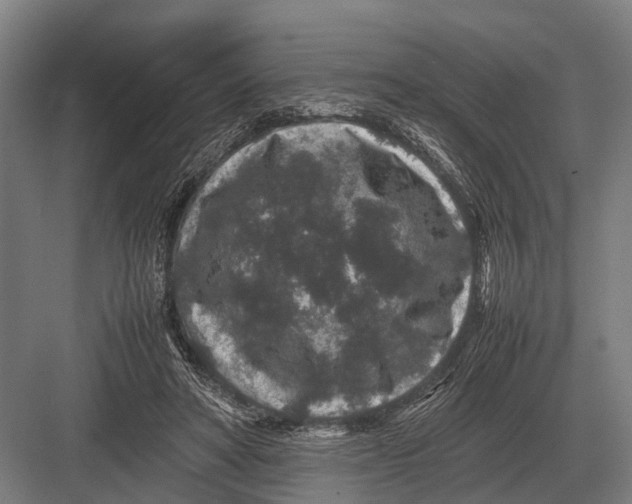 X0000082740402200702161938