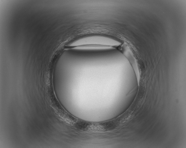 X0000082740403200702161938