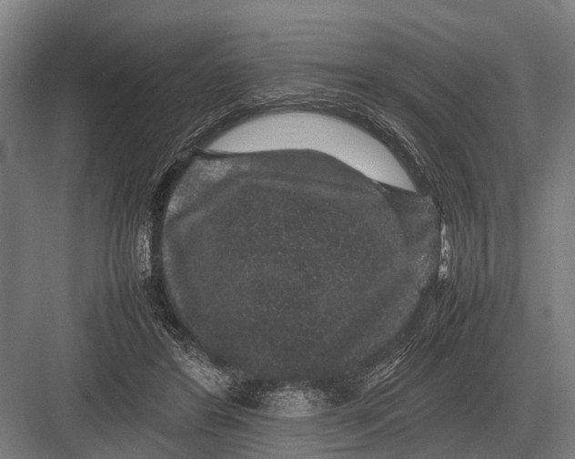 X0000082740404200702161938