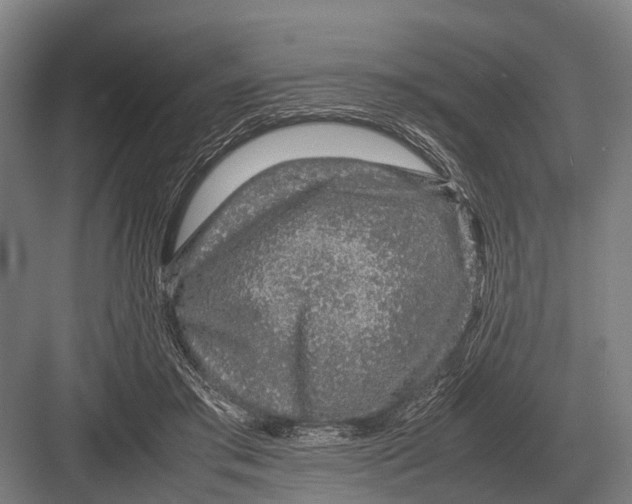 X0000082740405200702161938