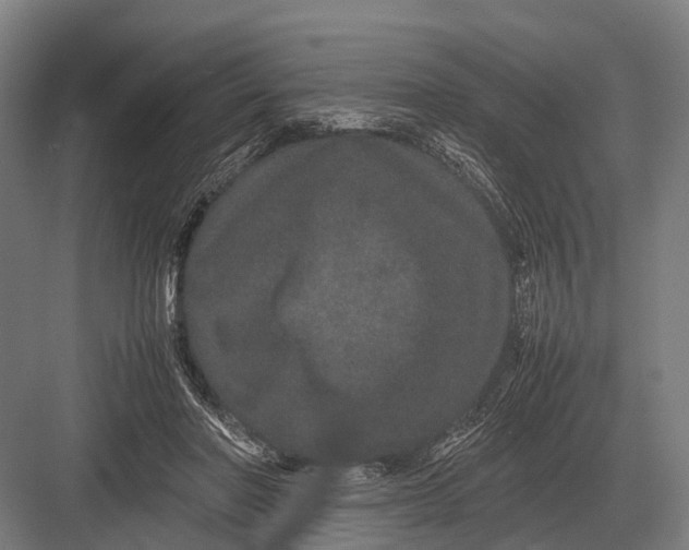 X0000082740406200702161938