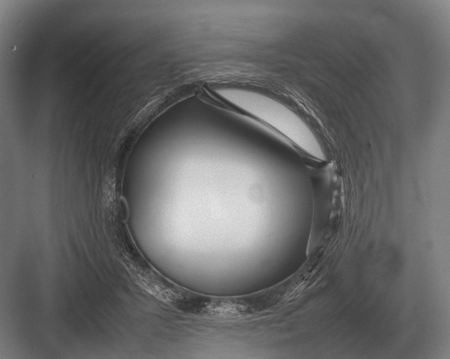 X0000082740407200702161938