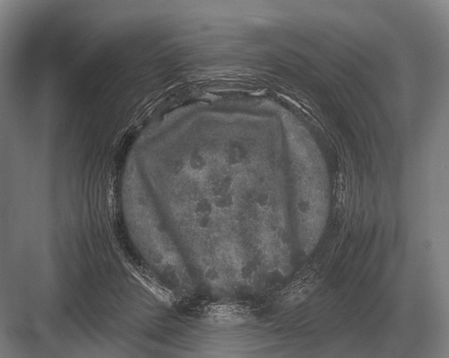 X0000082740408200702161938