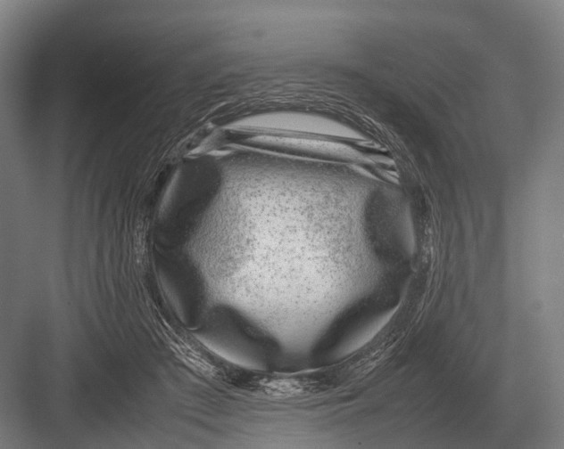 X0000082740409200702161938