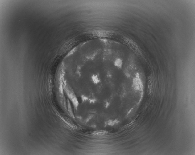 X0000082740410200702161938