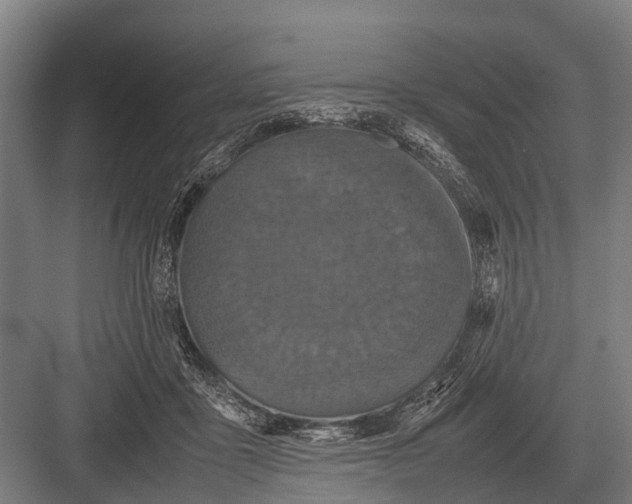 X0000082740411200702161938