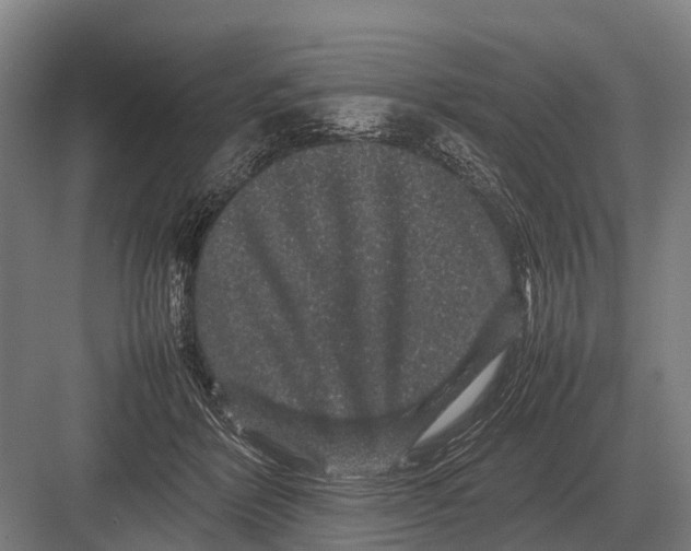 X0000082740412200702161938