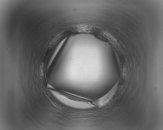 X0000082740413200702161938