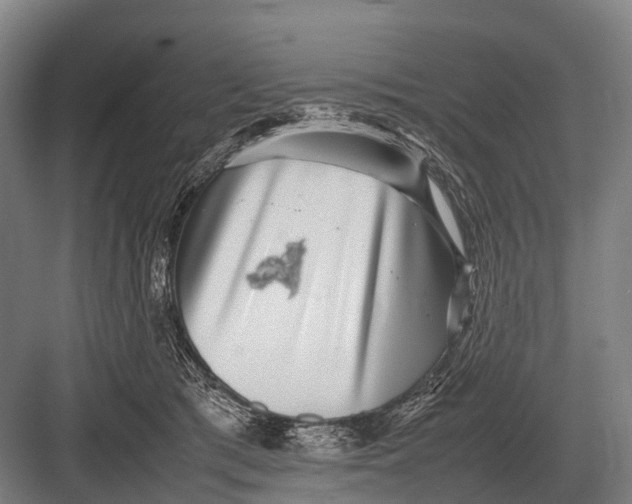 X0000082740417200702161938