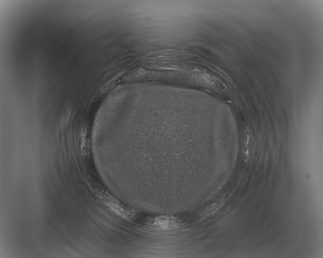 X0000082740420200702161938