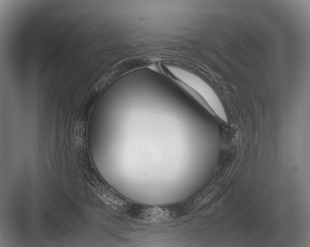 X0000082740421200702161938