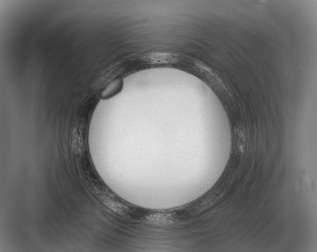 X0000082740422200702161938