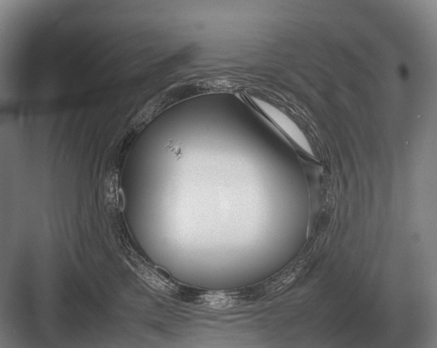 X0000082740425200702161938