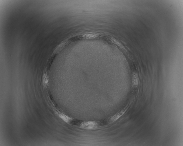 X0000082740431200702161938