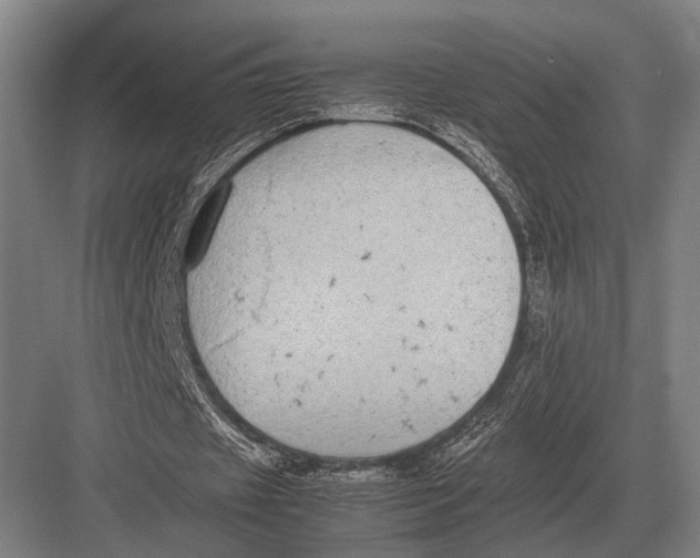 X0000082740433200702161937