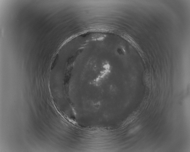 X0000082740434200702161937