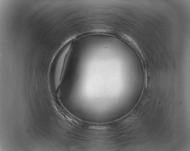 X0000082740435200702161937