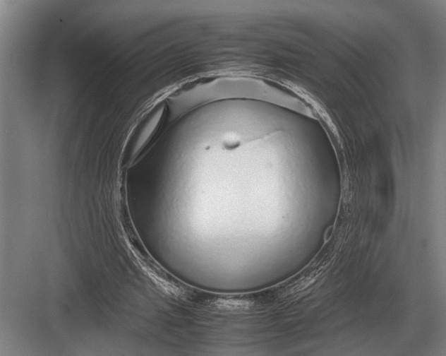 X0000082740437200702161937