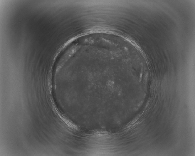 X0000082740438200702161937