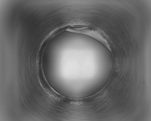 X0000082740440200702161937