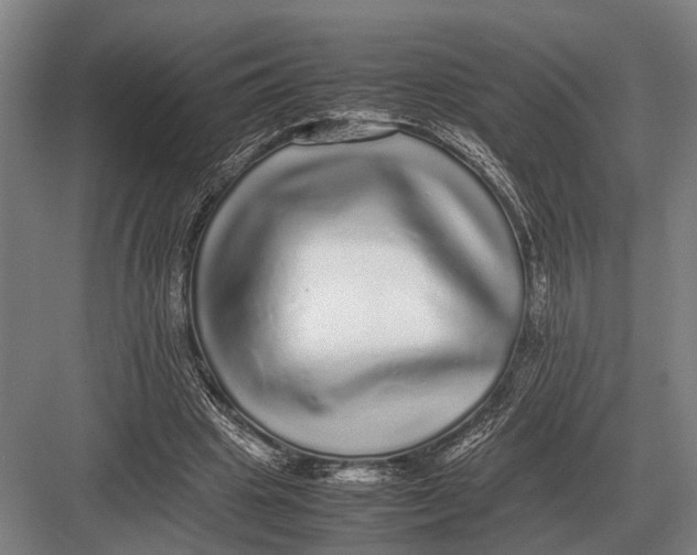 X0000082740441200702161937