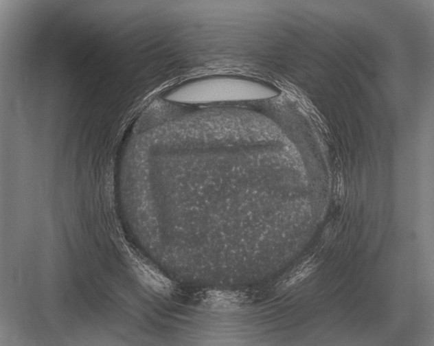 X0000082740442200702161937