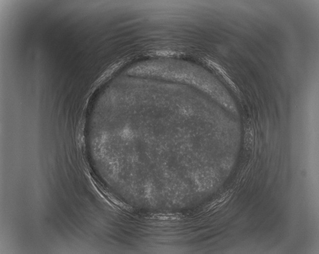 X0000082740443200702161937