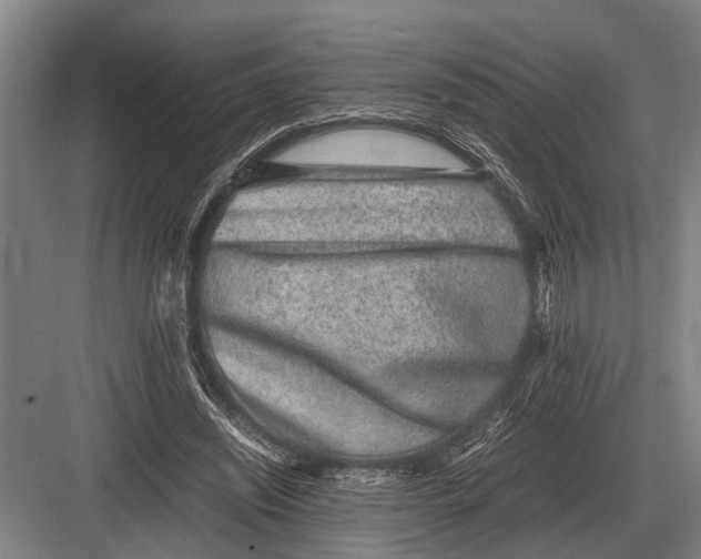 X0000082740444200702161937