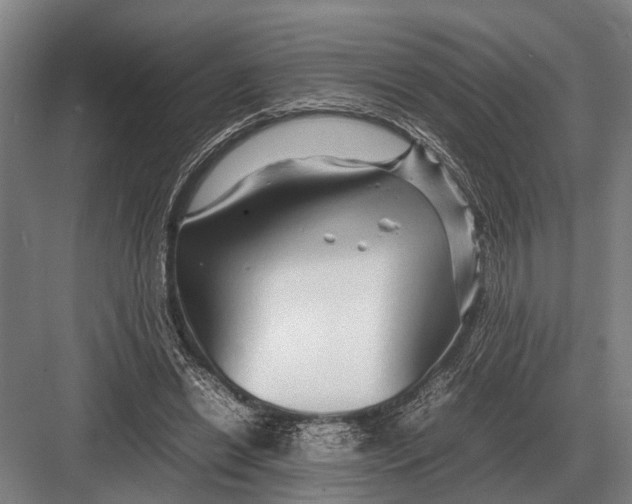 X0000082740446200702161937