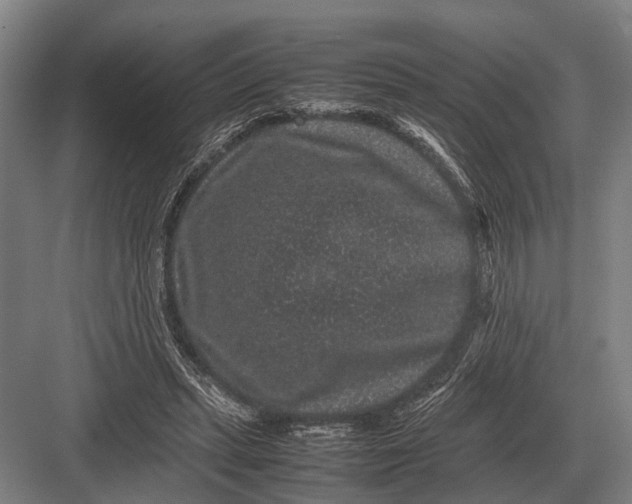 X0000082740447200702161937