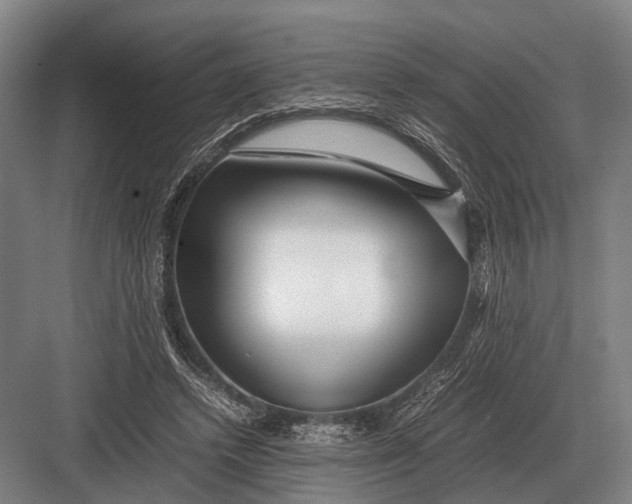 X0000082740448200702161937