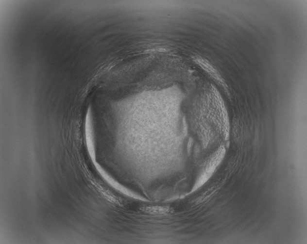 X0000082740449200702161937