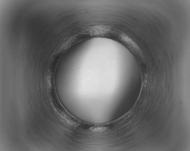 X0000082740452200702161937