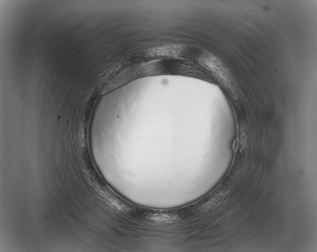 X0000082740453200702161937