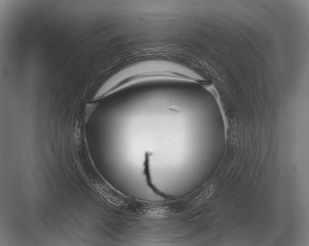 X0000082740456200702161937