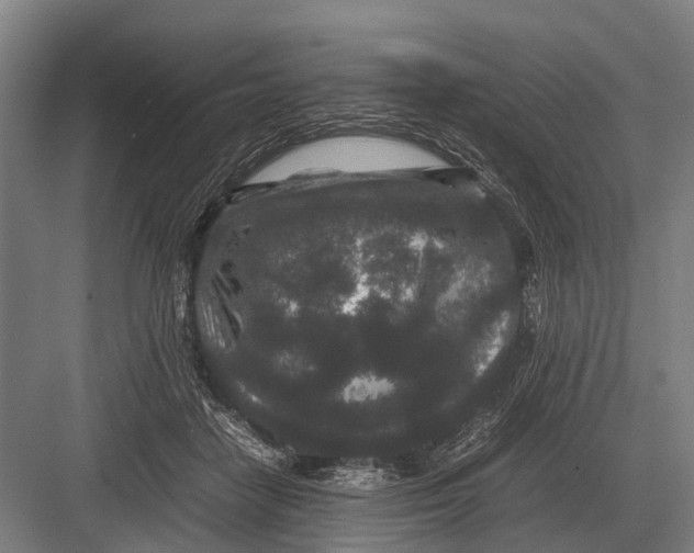 X0000082740458200702161937