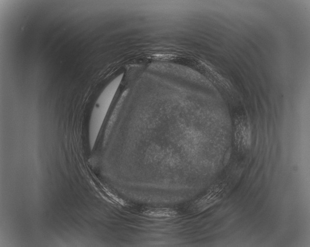 X0000082740459200702161937